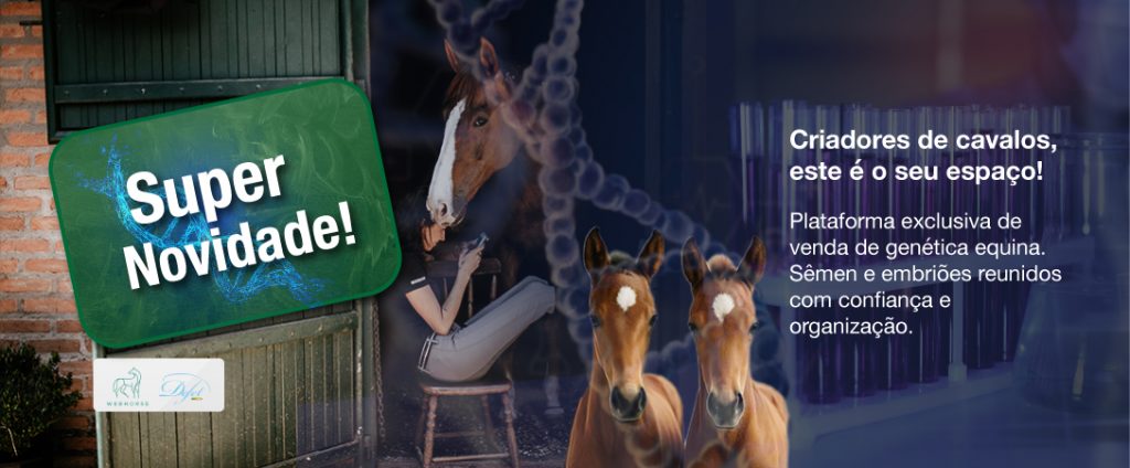 semen equino, embrião de cavalos