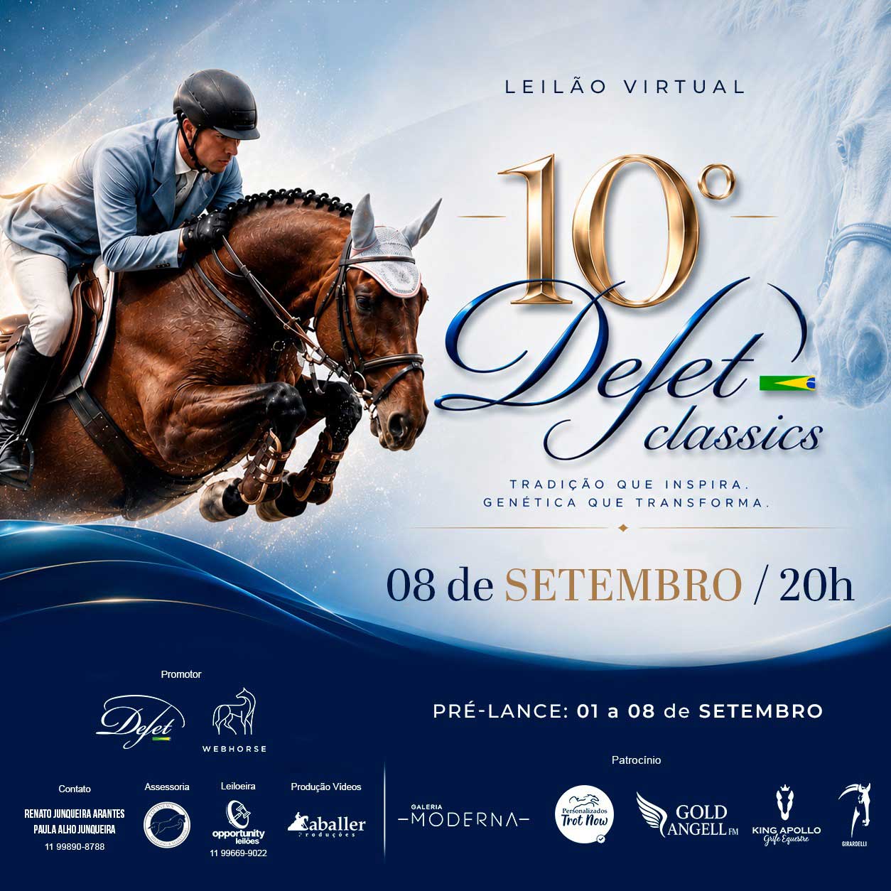 leilão de cavalos de hipismo
